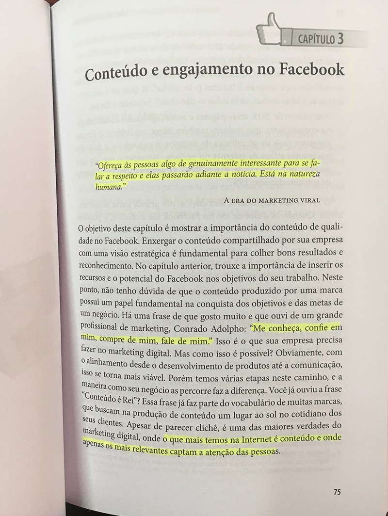 livro facebook marketing capitulo 3