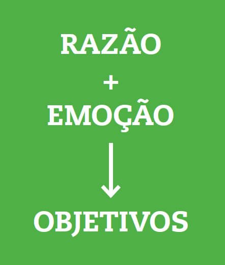 razão + emoção = objetivos - Livro Foco na Prática - Paulo Vieira